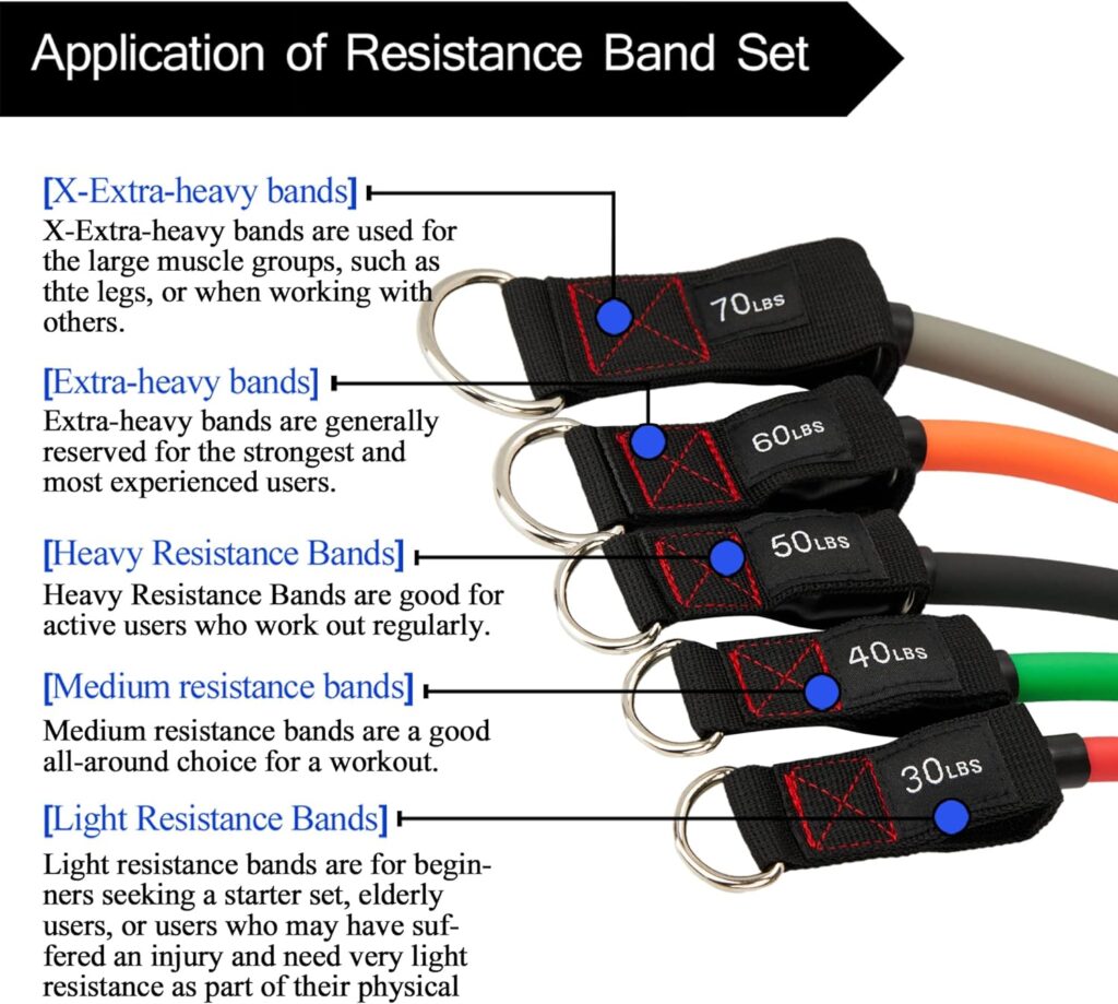 TheFitLife Exercise Resistance Bands with Handles - 5 Fitness Workout Bands Stackable up to 110/150/200/250/300 lbs, Training Tubes with Large Handles, Ankle Straps, Door Anchor, Carry Bag